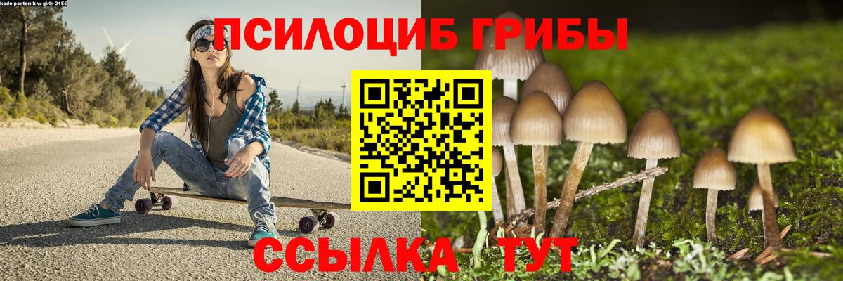 сколько стоит  Вход с VPN  Лабытнанги  Псилоцибиновые грибы Psilocybine cubensis 